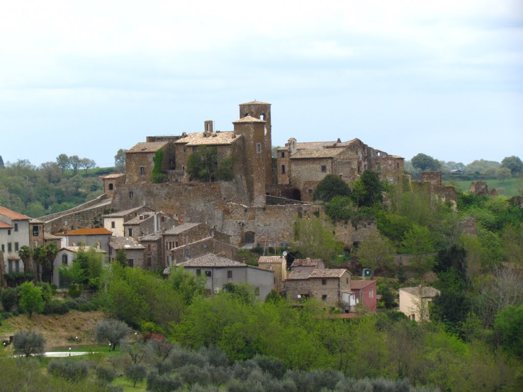 Il borgo di Celleno by Troscia Andrea