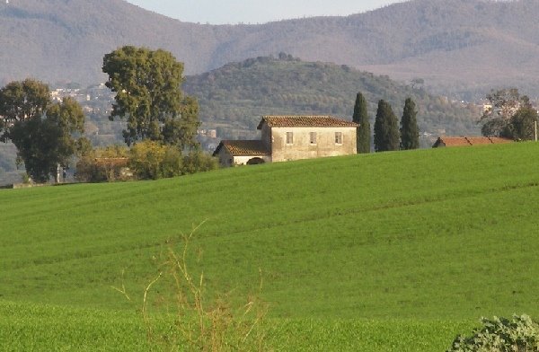 Campagna lanuvina prima del fotovoltaico a terra by lucabellincioni