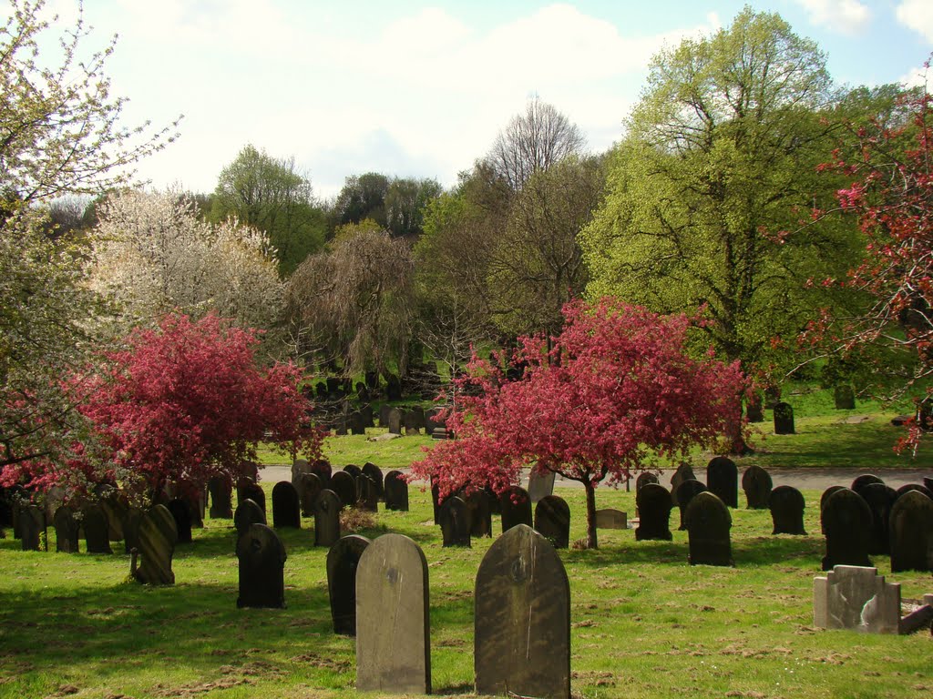 Springtime scene, Burngreave Cemetery, Sheffield S4 by sixxsix