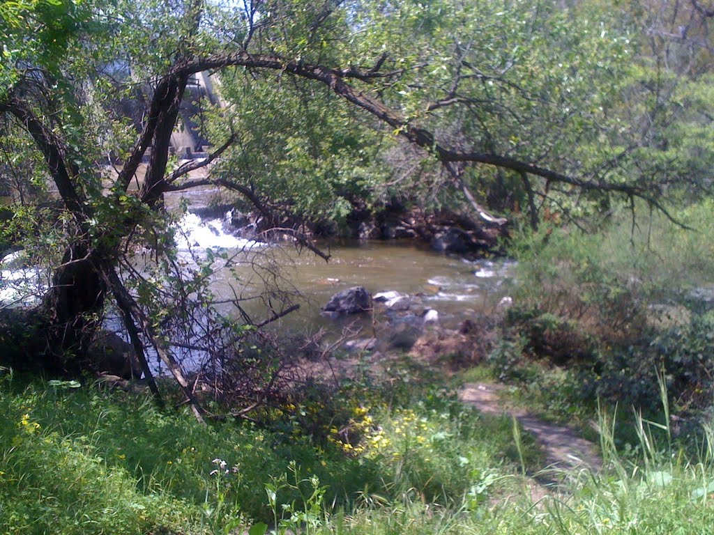 Los Gatos Creek by AC365