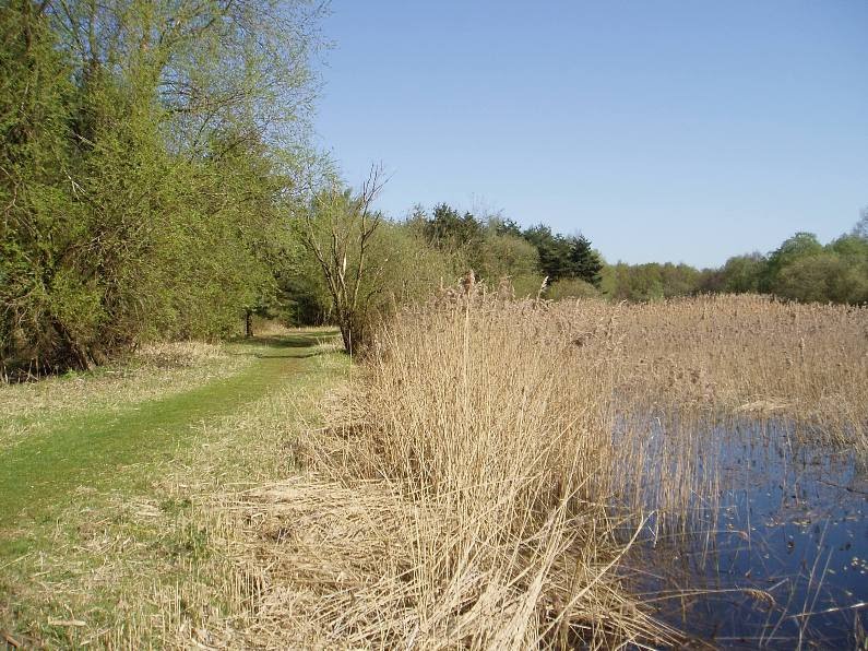 Nature Walk Messingham Nature Reserve Scunthorpe by mel54