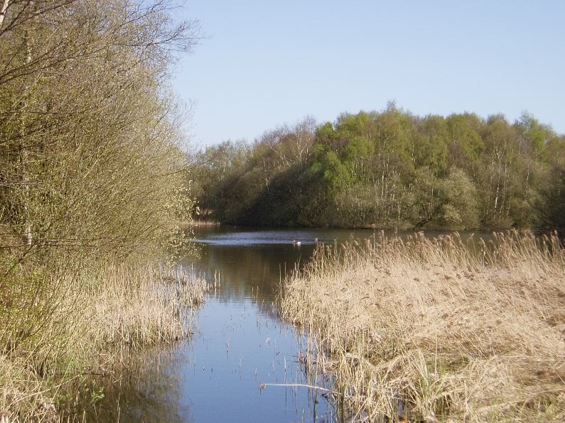 Messingham Nature Reserve Scunthorpe by mel54