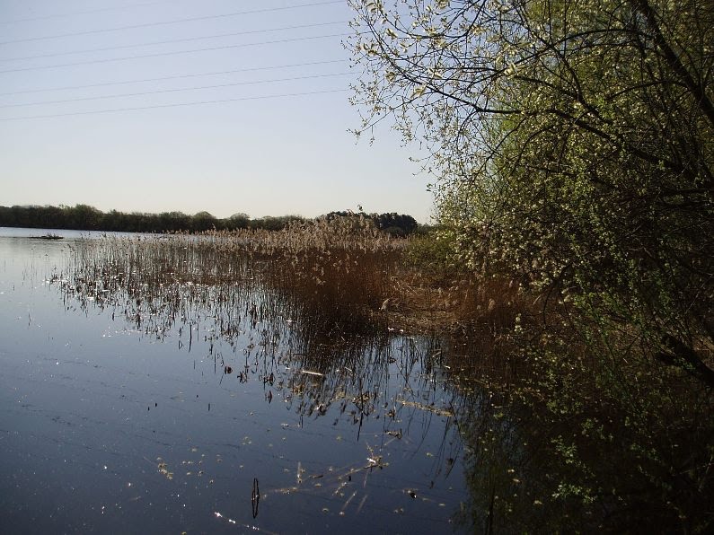 Messingham Nature Reserve main Lake by mel54