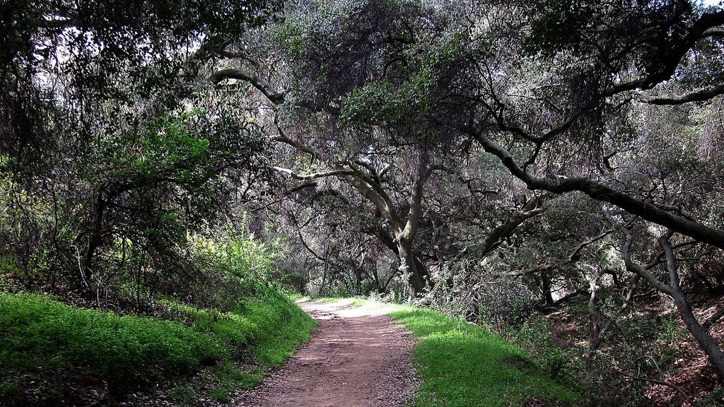 MARSHALL CANYON TRAIL by kemplo