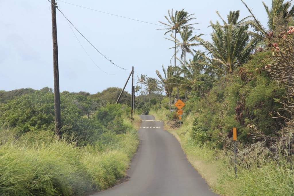 Heading West On Hwy 31 Right Before Kaupo Store by DennyMH