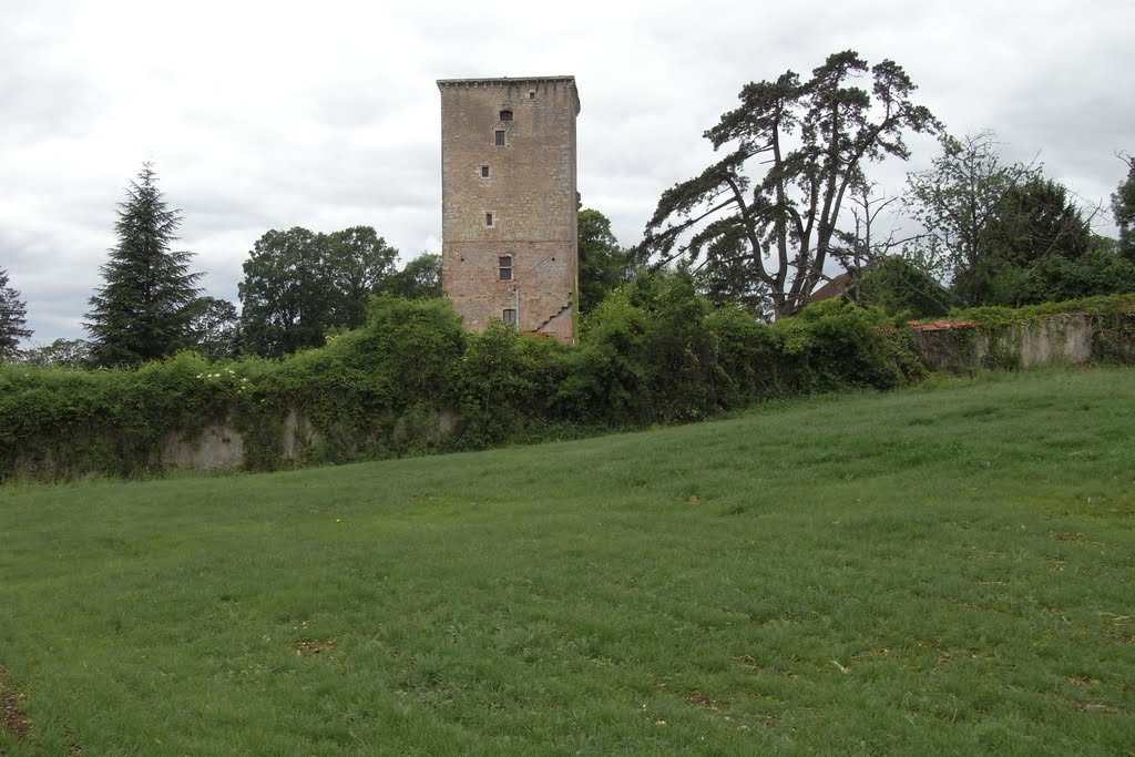 La Tour de Beaujeu by vollenjo