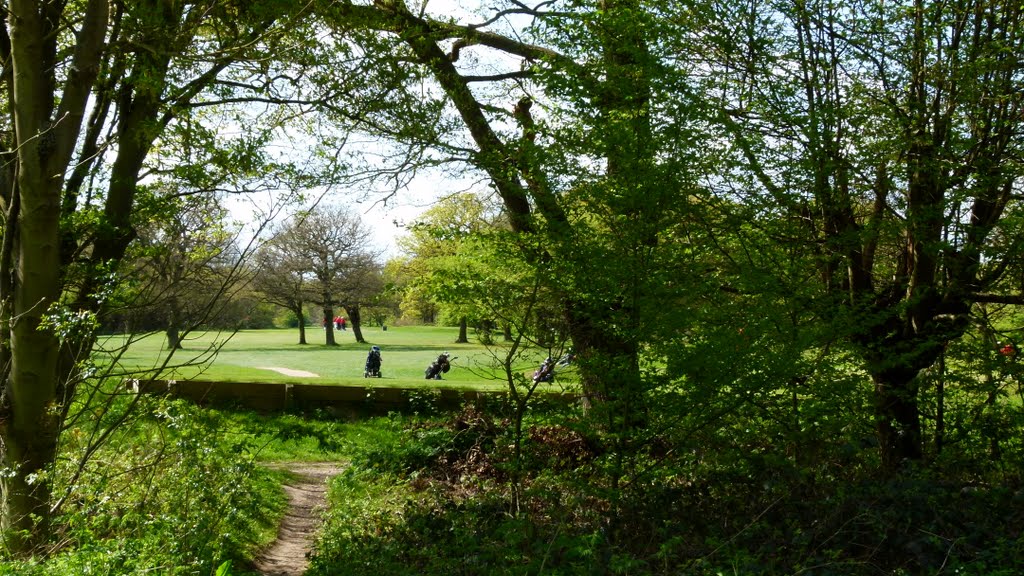 Royal Epping Forest Golf Club by TerryHD2