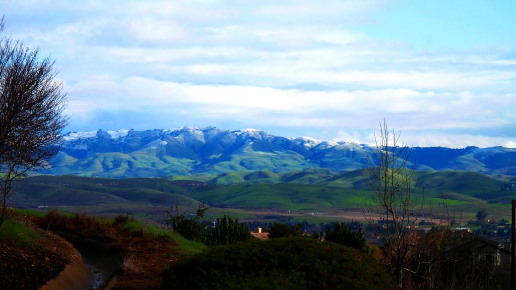 California Snow, on Mount Diablo- Feb 2011 by pauline8228