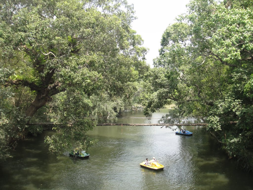 Kaveri Nisargs Dhama, Kushalnagar by Akshay Yardi