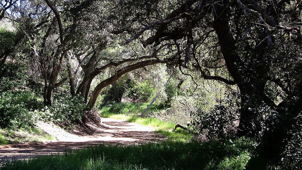 MARSHALL CANYON TRAIL by kemplo