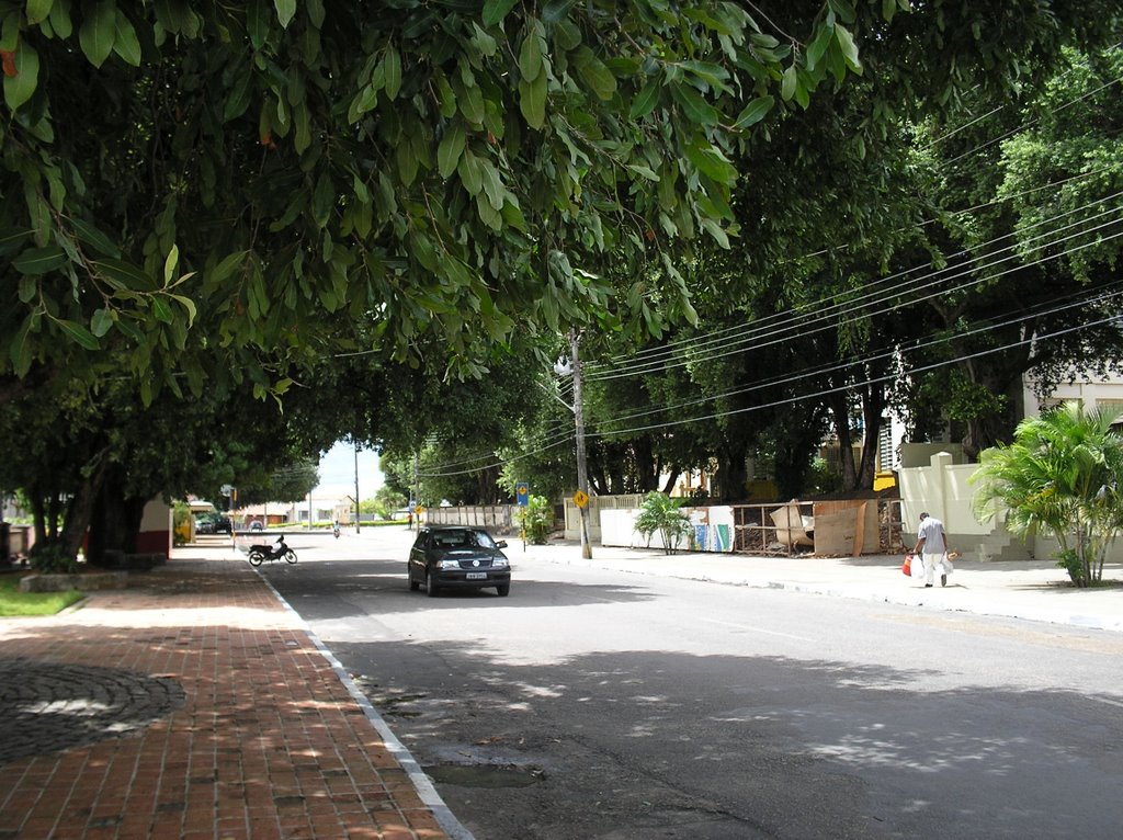 Boa Vista-Centre de la Ciutat-A l´ombra dels arbres. by Jordi Font Bayó