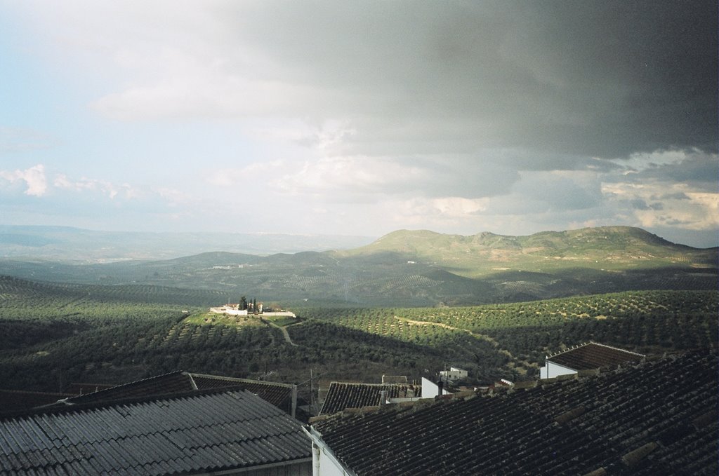 Mar de olivos de Jimena by Eddy Felson