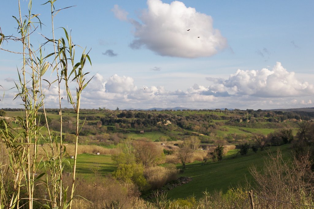 Paesaggio maremmano nella Valle del Marta by lucabellincioni