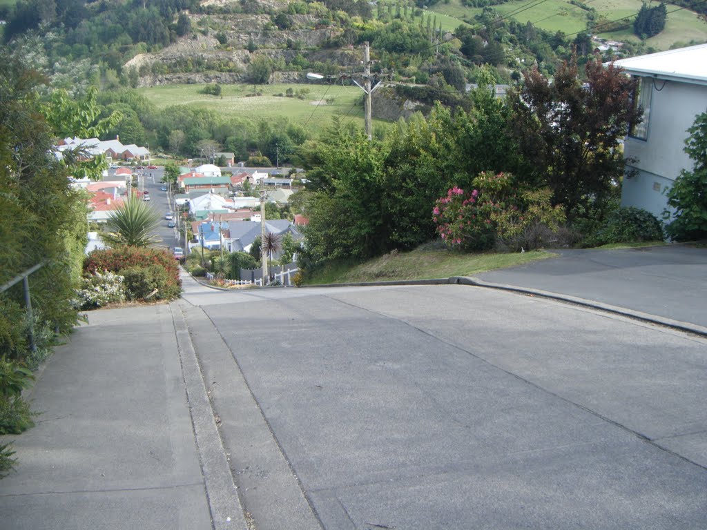 The steepest street in the world! by Geckogirl