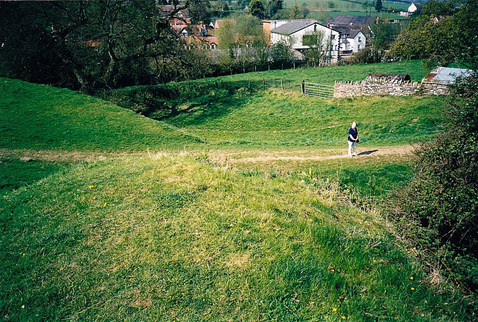 Weobley Castle, looking north through entrance by PeterE