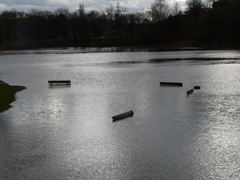 Benches in Szczęśliwicki Park by derecki83