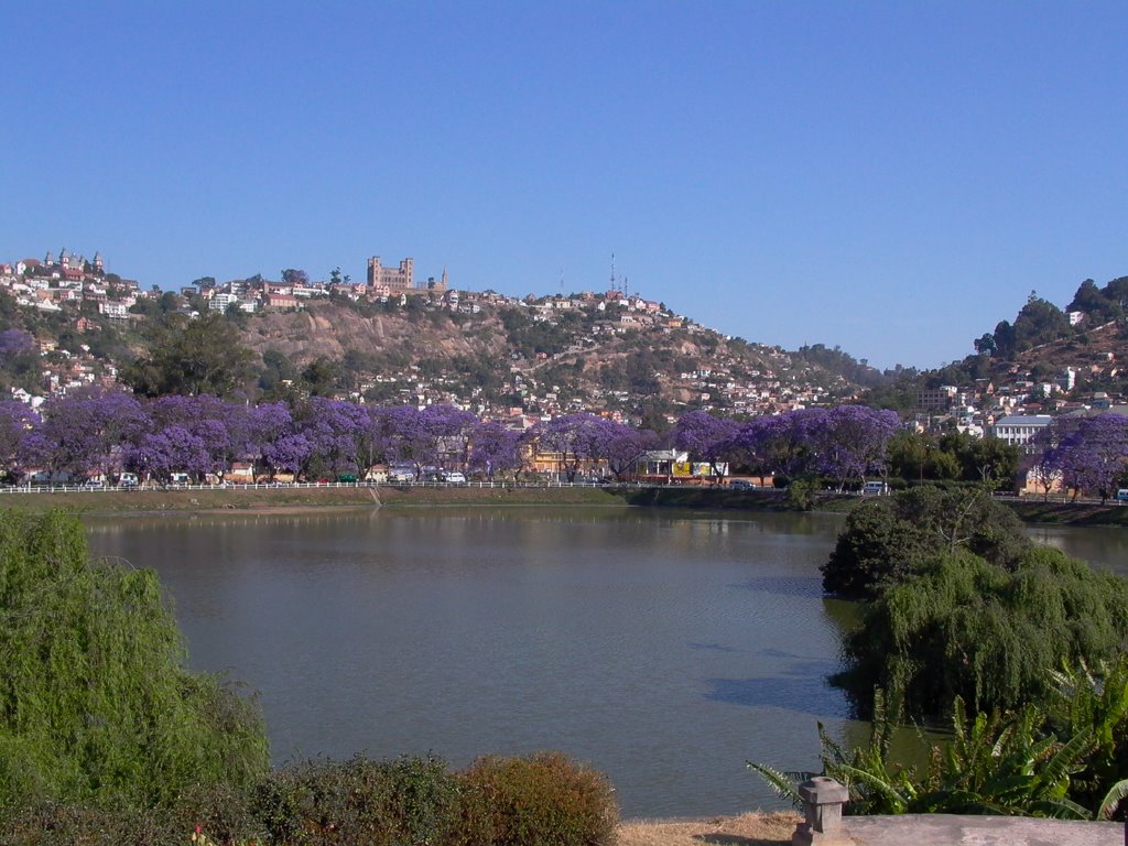 Antananarivo - Lac Anosy & Jacarandas by Papymaj