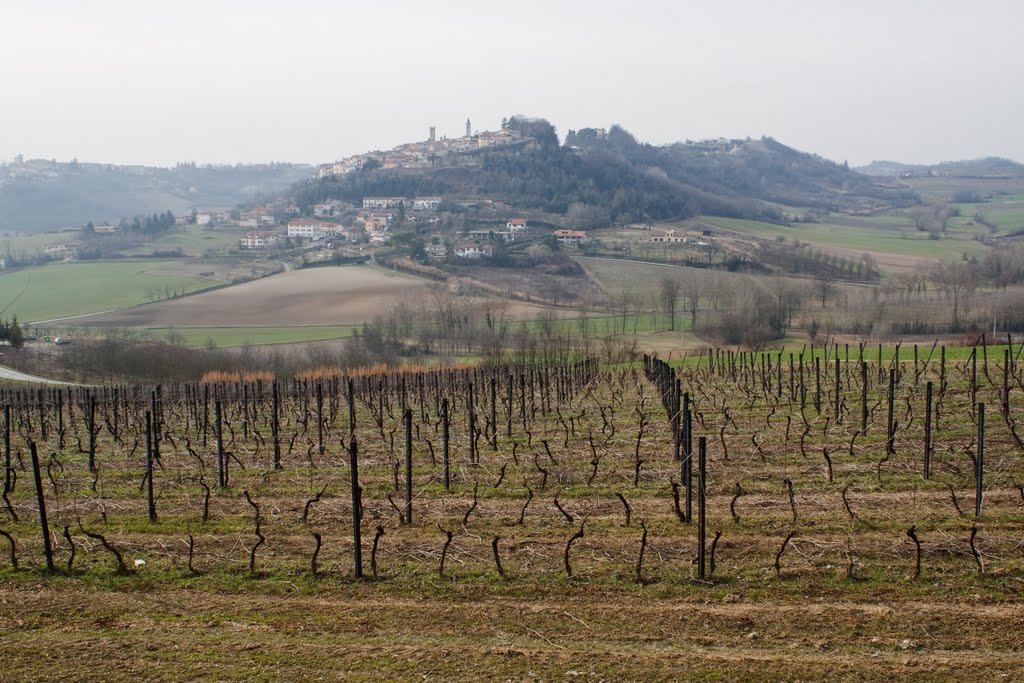 Rosignano e le vigne della Valle Ghenza by albert66