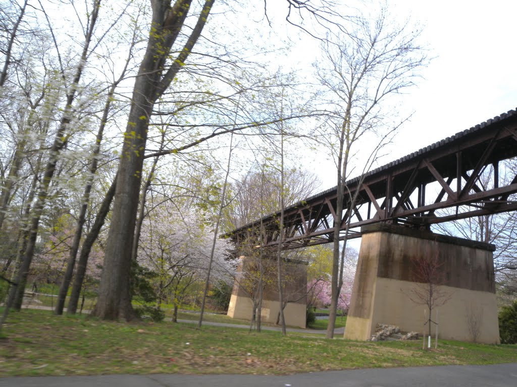 Newark Branch Trestle by Adam Elmquist