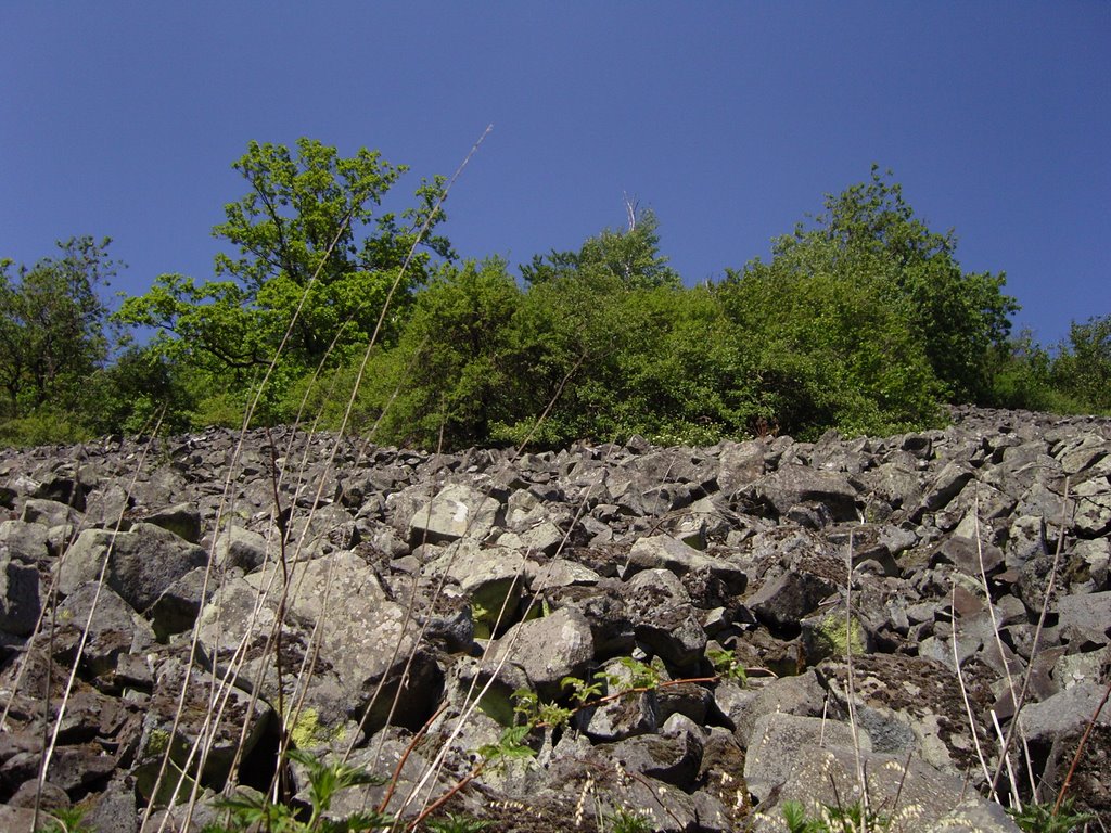 Basaltblockmeer am Rauhen Kulm by Tobias Linhardt