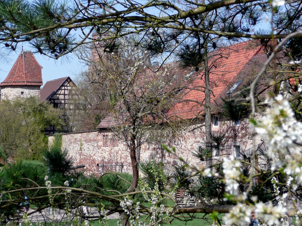 Stadtmauer in Weil der Stadt am Brühlweg beim Sailerturm by Qwesy