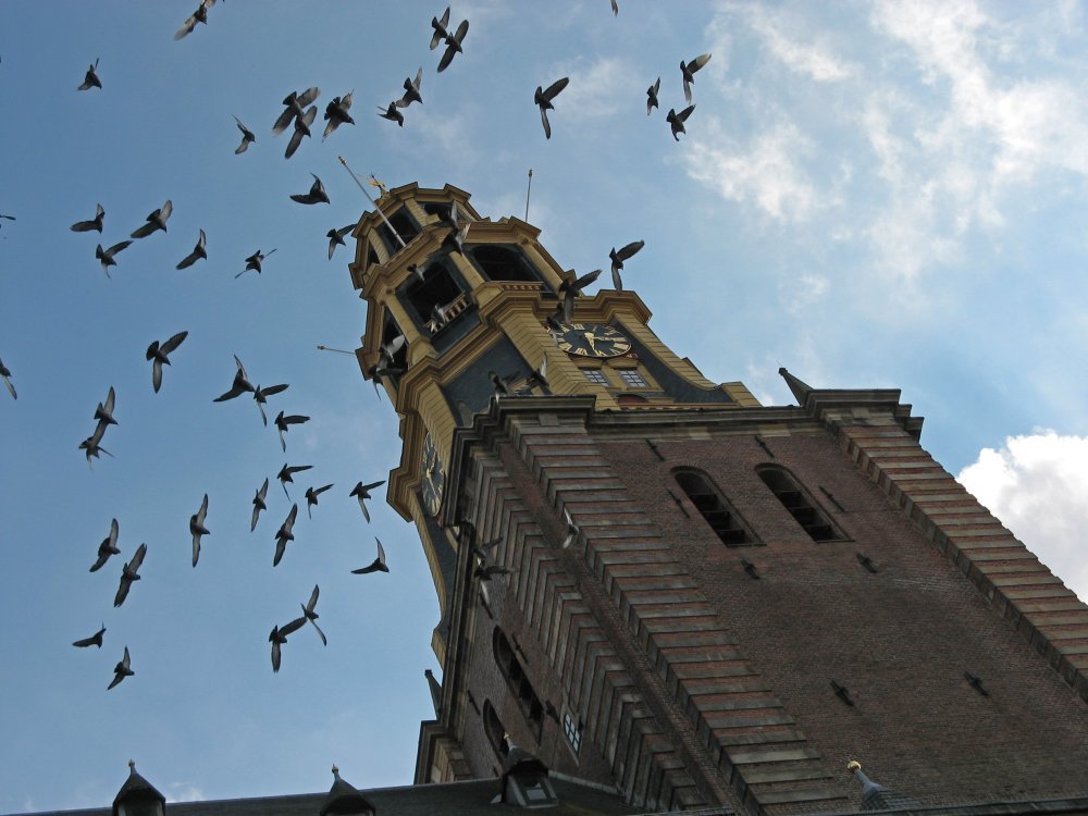 Great Church of Groningen (Der AA-kerk) by jhk