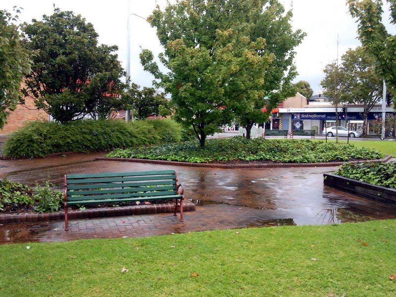 Suttor Park, Baulkham Hills by David Bennell