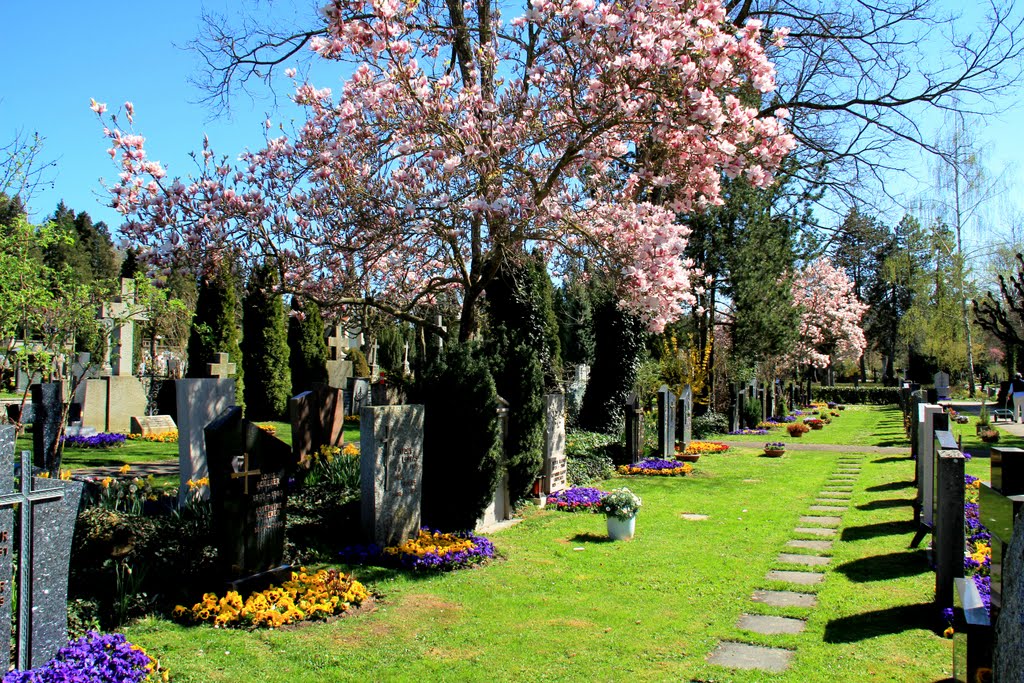 Cimitero di S. Léonard - Friburgo Svizzera by alfonso minoli