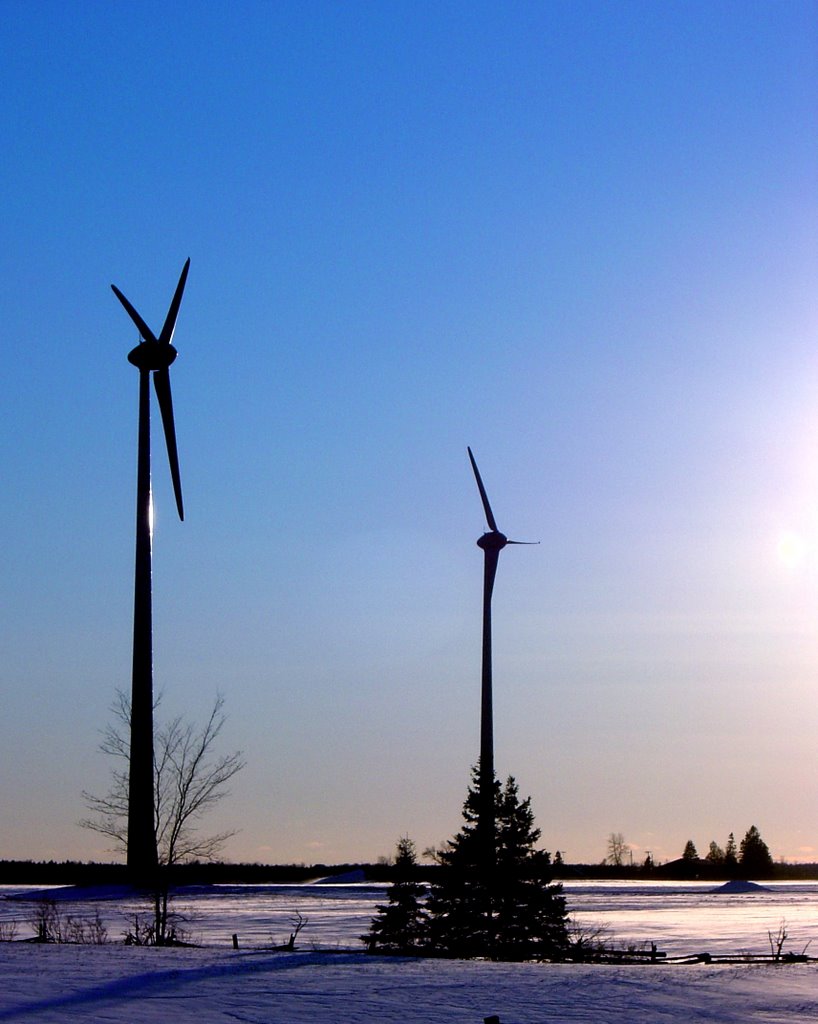 Spring Bay Windmills by pjkiley