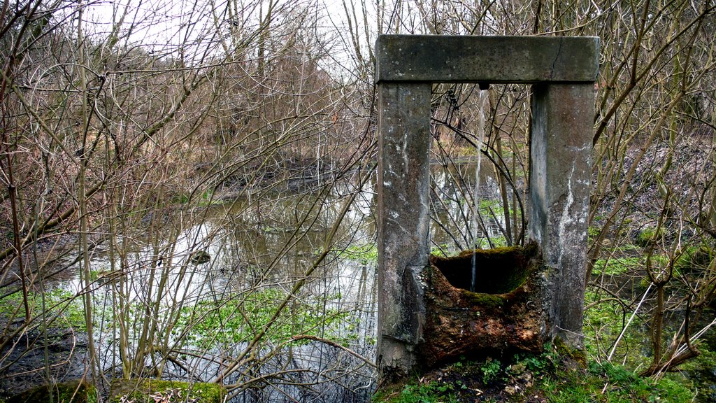 Water Spring, Peruc by Petr Kraumann