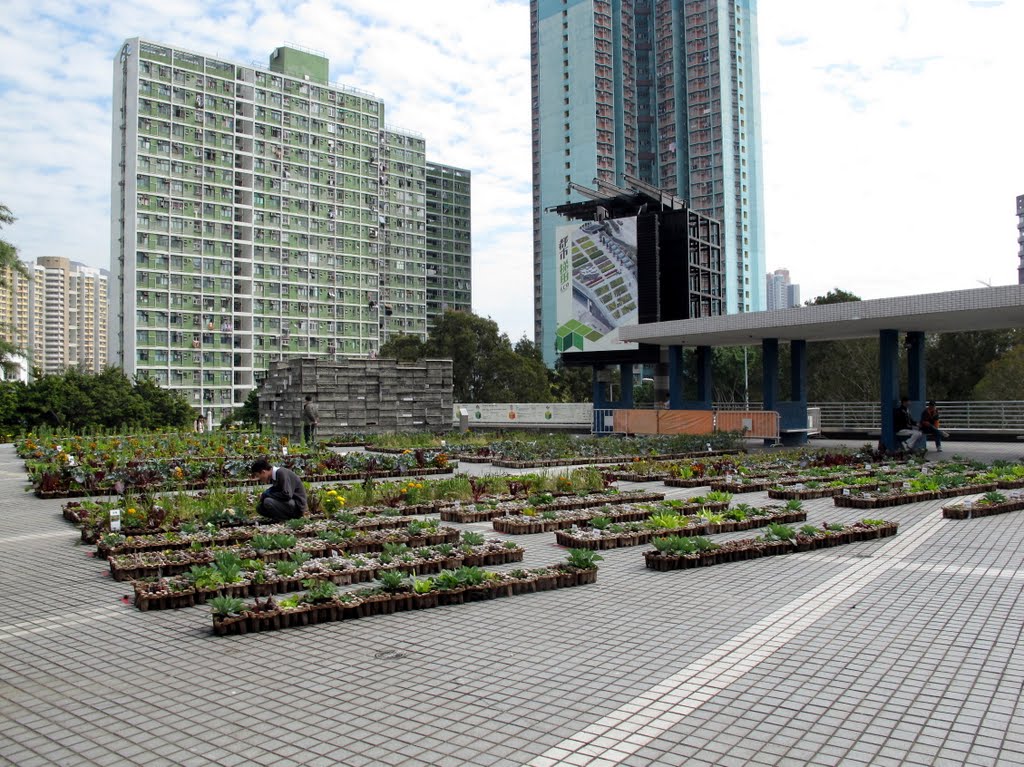 樂富廣場「都市梯田」Lok Fu Plaza Eco Terrace by Wayne Wong