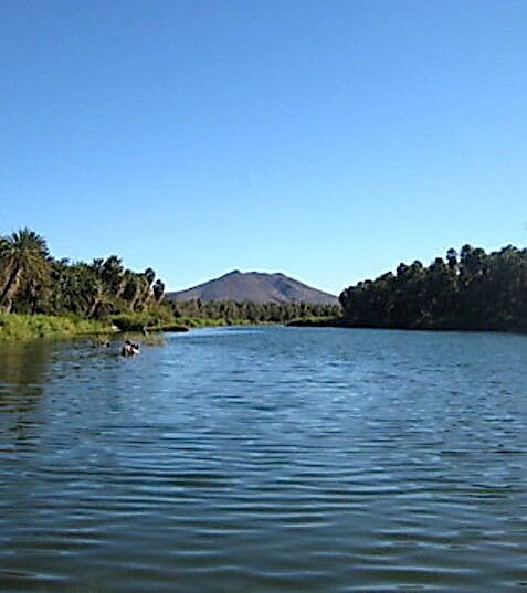 Laguna de San Ignacio - BCS. Mx. by Doug Johnson-'40