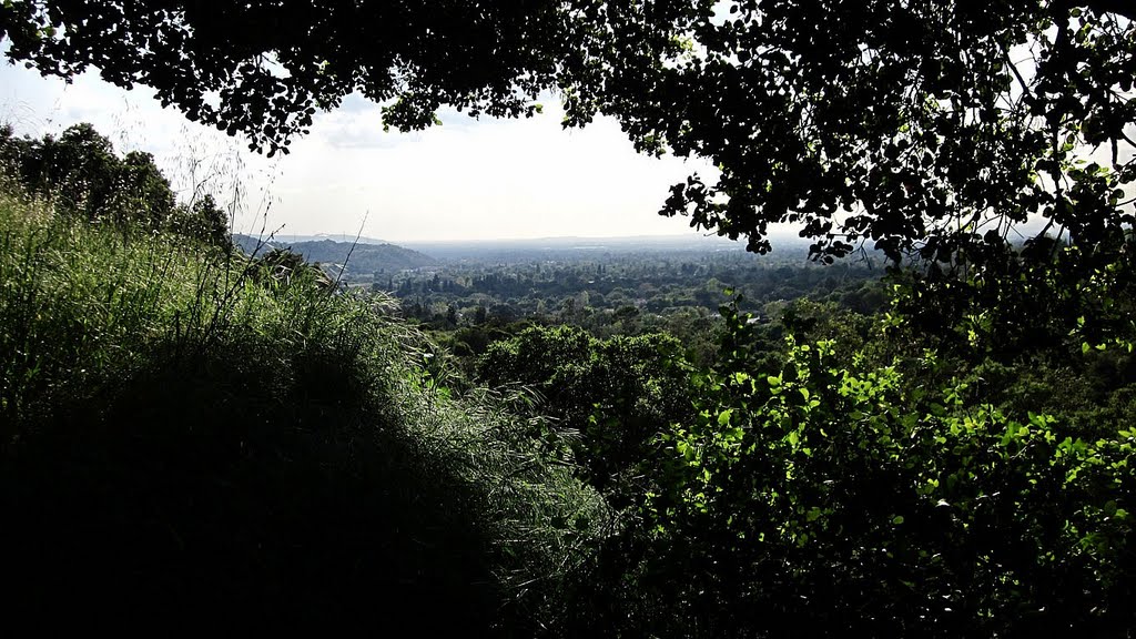 GLENDORA FROM MARSHALL CYN TRAIL by kemplo