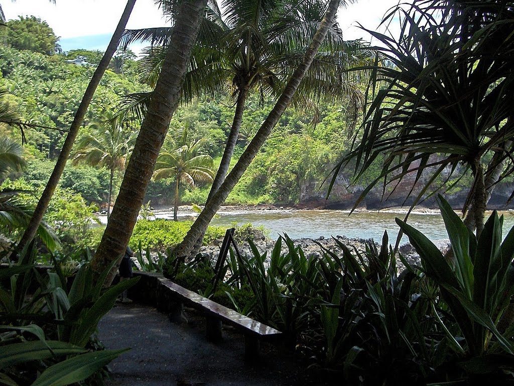 Garden Trail next to Onomea Bay - great view. 2007-06-18 by deanstucker