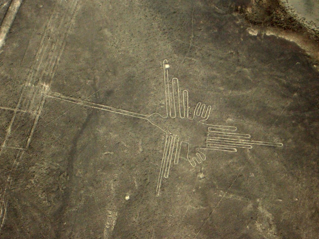 Línies de Nazca, el colibrí by Albert Codina