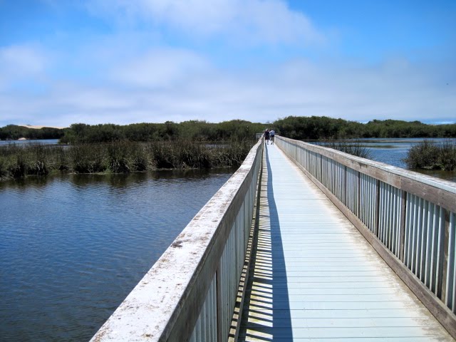 Boardwalk by CheriEmpenada