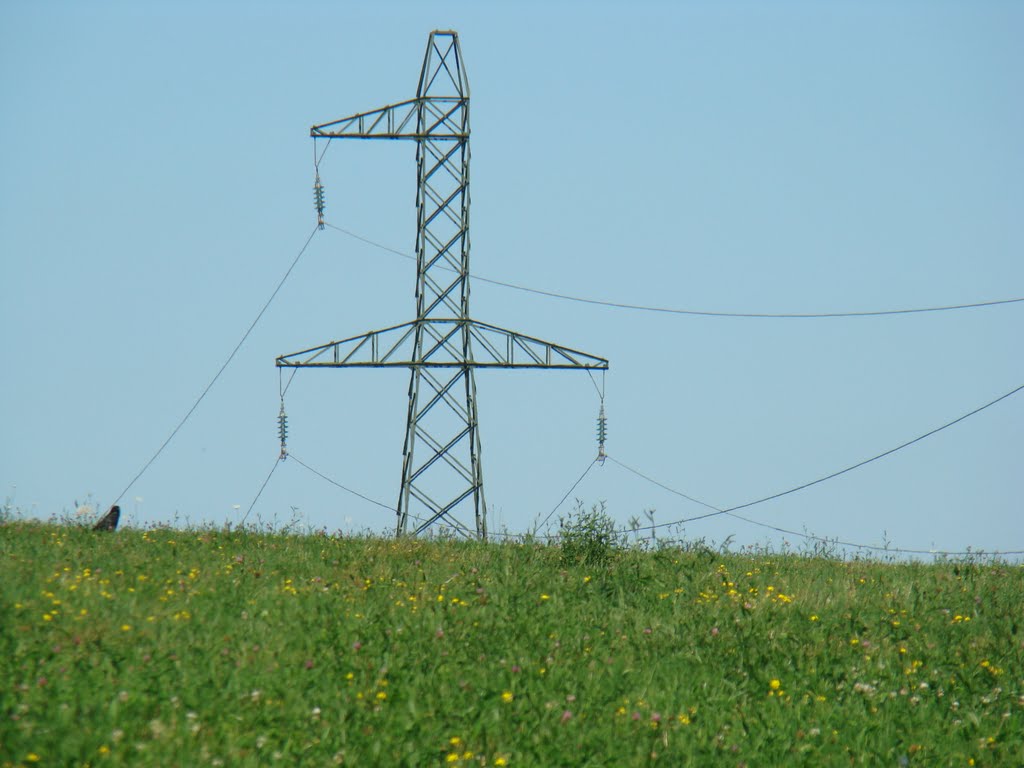 Ligne de 63 000 Volts ( Palente- St Ferjeux ) 25 Ecole ( Juin 2010 ) by Stanislas St Pons de la Jonguière