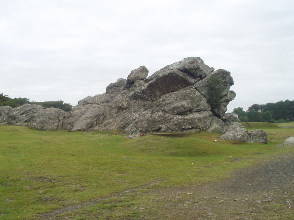 Roborough Rock by Ron Mayes