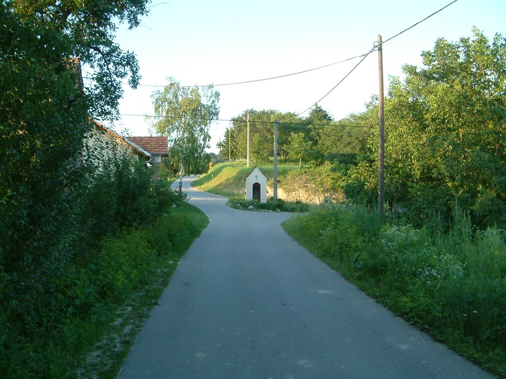 Road to the Potrti Kotac restaurant by Max Sol