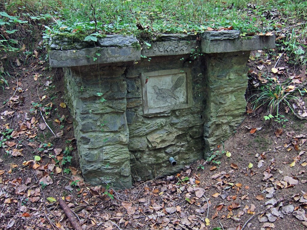 Studánka U kukačky by Zruda