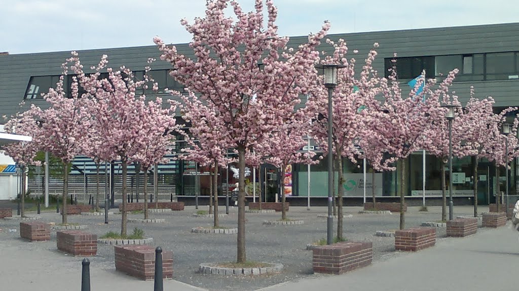 Dietzenbach, Frühling an der S-Bahn-Station "Stadtmitte" (2) by Ernst-Otto Harder