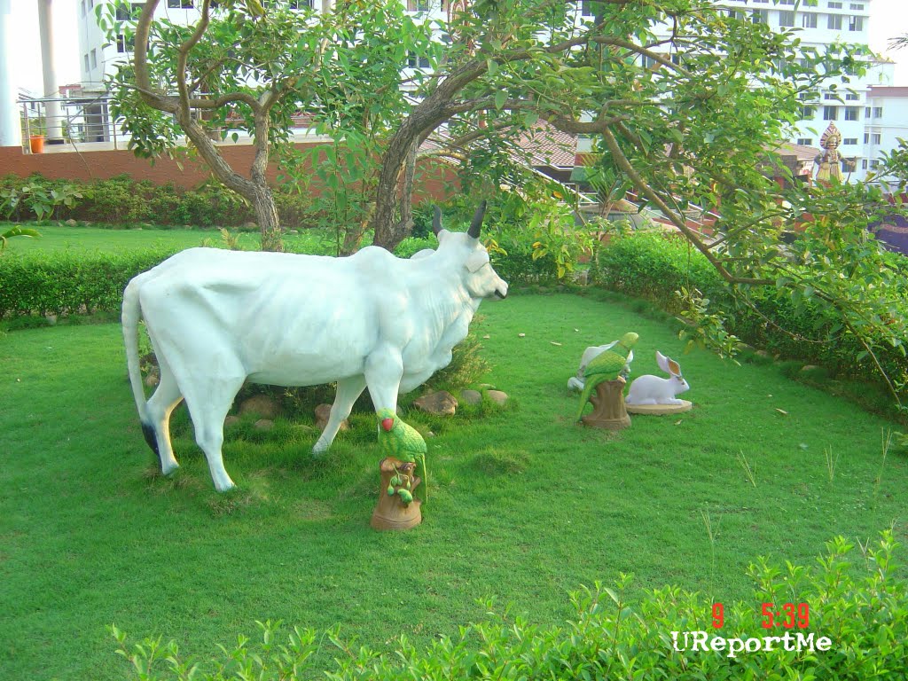 Garden at Alvas Education foundation, Vidhyagiri Mudabidre by UReportMe