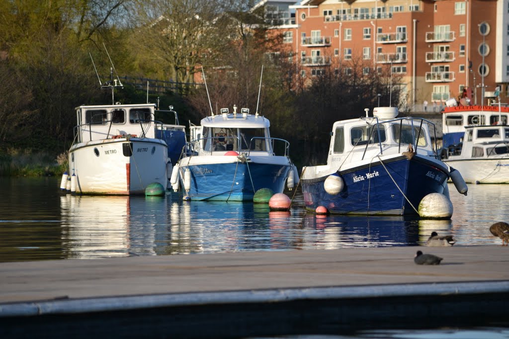 Old boats & new houses by fat-freddies-cat