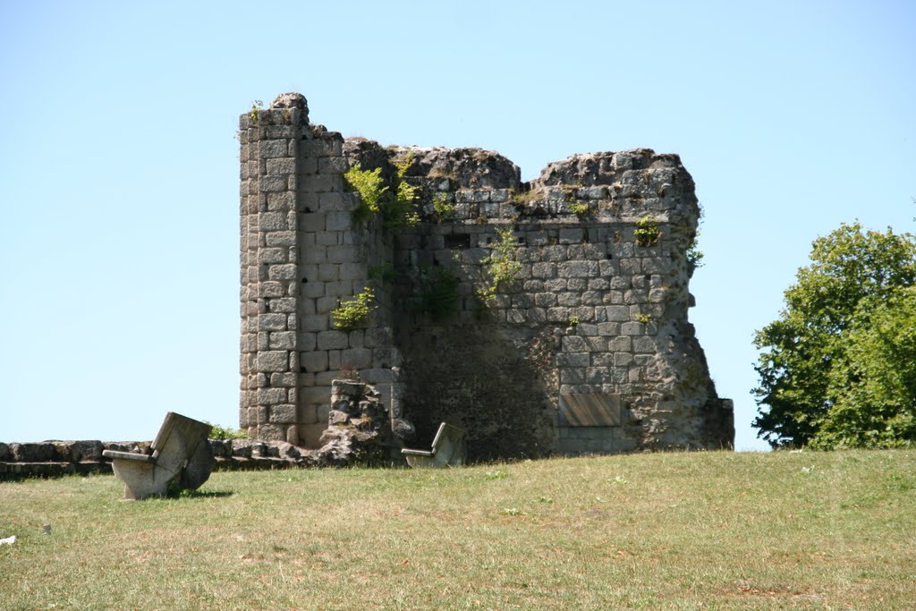 Vestiges du château by Pigeon voyageur