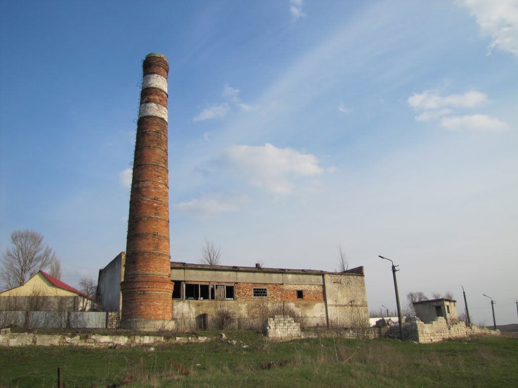 A fost razboi,ecoul lui si-acum mai este viu... by bologalex