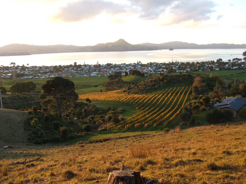 Shakespeare CLiff Vineyard by maxmor