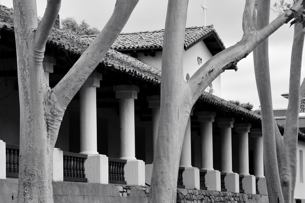 Mission San Luis Obispo by mark167