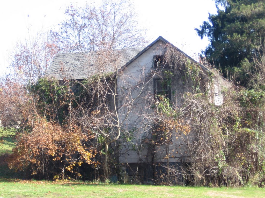 Abandoned house, Monrovia MD by jeffdlb