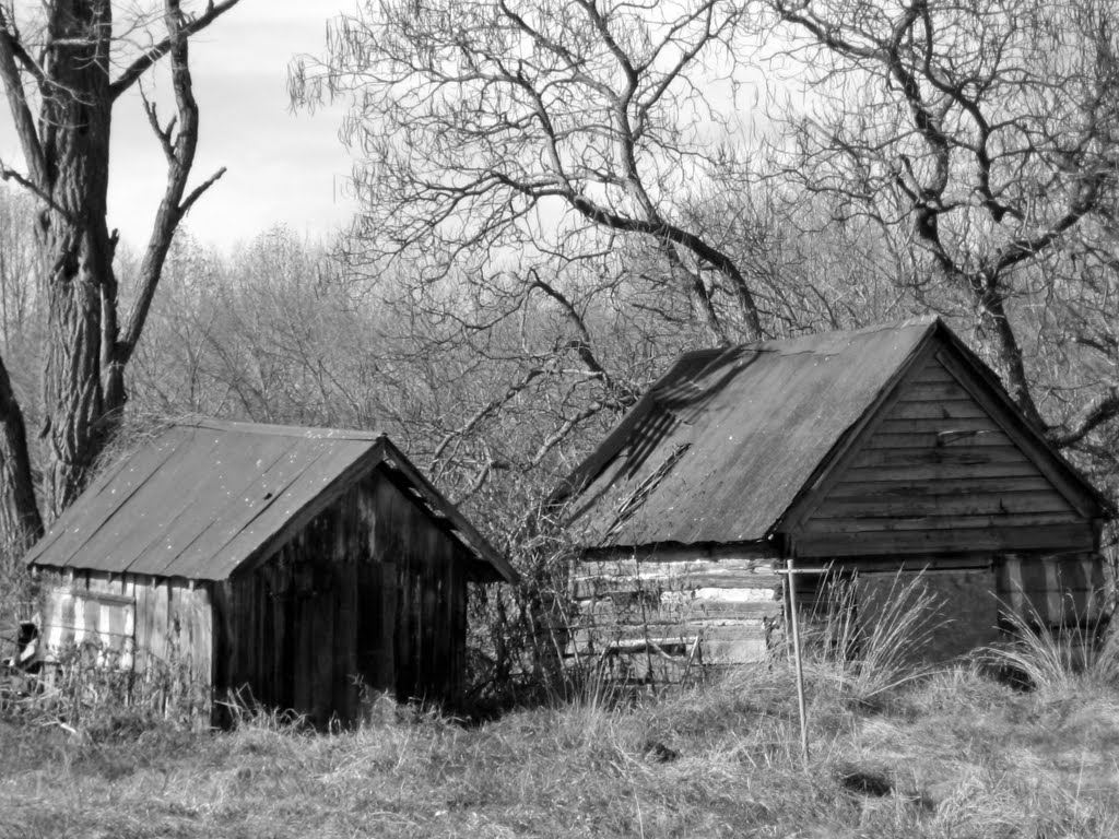 Abandoned sheds, Kings Valley Road south of Kingstead (west side of road), Damascus MD by jeffdlb