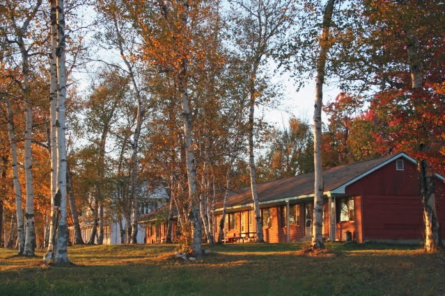 Birch Lodge Motel, Trout Lake, MI by Birchie